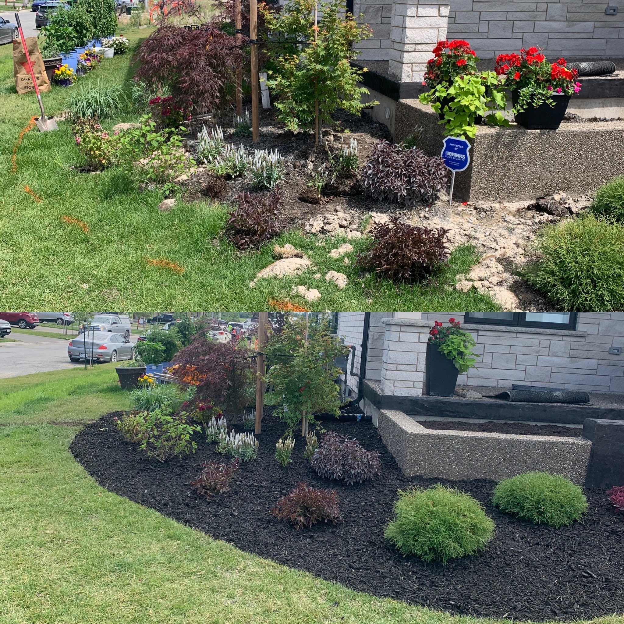 Gardens, planting, and mulch